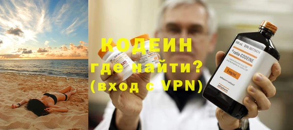 индика Балабаново