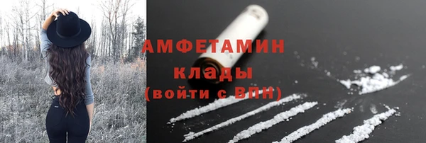 индика Балабаново