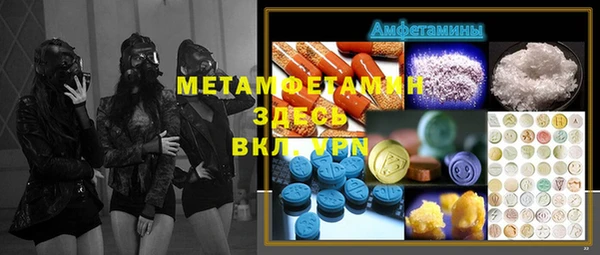 индика Балабаново
