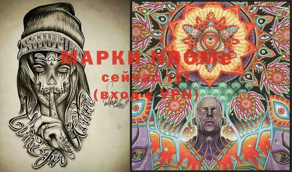 индика Балабаново