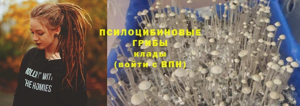 mdpv Баксан