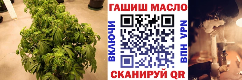 маркетплейс состав  Опочка  Дистиллят ТГК вейп 
