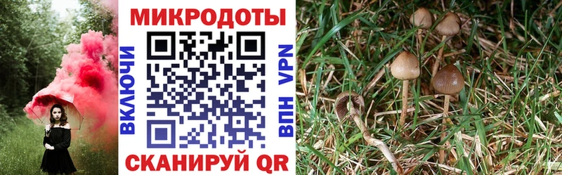 Галлюциногенные грибы мицелий  Опочка 